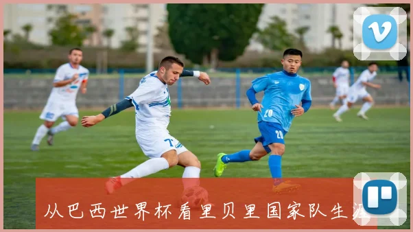 从巴西世界杯看里贝里国家队生涯：关键战役的缺席与遗憾