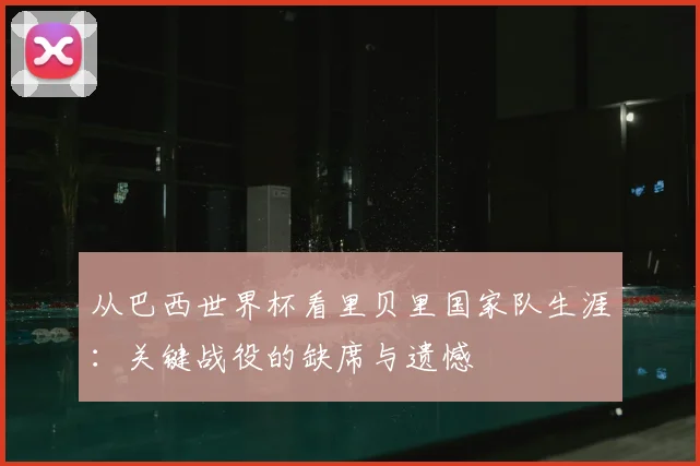 从巴西世界杯看里贝里国家队生涯：关键战役的缺席与遗憾